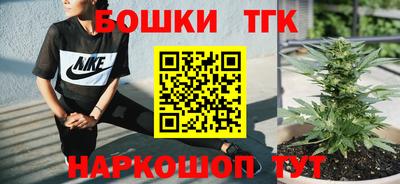 тгк Тула