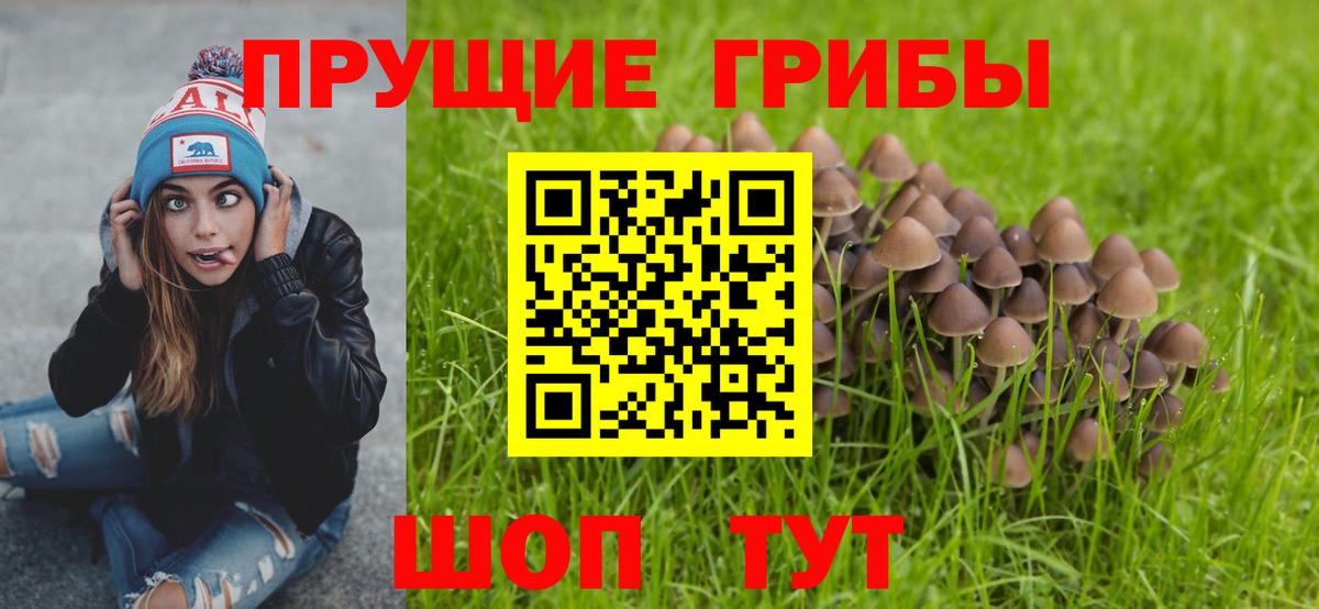 Псилоцибиновые грибы Psilocybine cubensis  Вход с VPN  Ухта 
